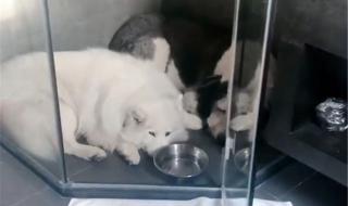 南方装地暖降价近半